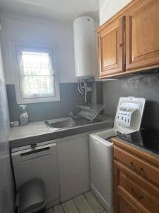 eine Küche mit Spüle und Waschmaschine in der Unterkunft Miramar By Bellavista - 250 m de la plage - terrasse in Argelès-sur-Mer