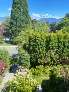 Κήπος έξω από το Cozy Guest Rooms Near UBC, Downtown and Beaches