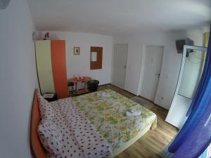 Postel nebo postele na pokoji v ubytování Pensiunea Vidra