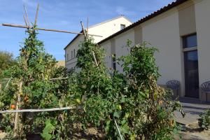 Сад в Resort Il Gallo Senone