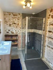 a bathroom with a walk in shower and a sink at Gîte à La Ferme de l'Oasis in Saint-Marcel-de-Félines +14 photos