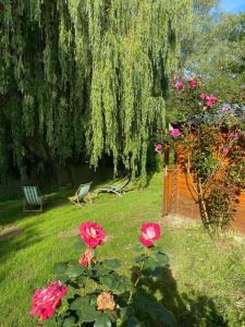 a garden with roses and a bench and a tree at Ronsard in Bonnes