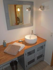 a bathroom with a sink and a mirror at Relais de navon in Saint-Joseph