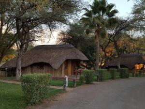 a hut with a thatched roof and a palm tree at Ombinda Country Lodge in Outjo +3 photos