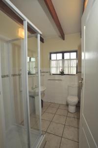 a bathroom with a shower and a toilet and a sink at Petal Faire Cottage in Pretoria +29 photos