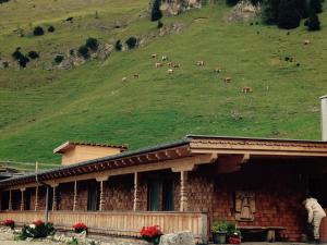 um grupo de vacas a pastar numa colina atrás de um edifício em Binsalm- Schutzhütte em Vomp