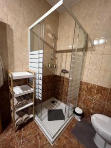 une salle de bain avec une douche avec un lavabo et des toilettes dans l'établissement CentralPark Suites, à Maribor 10 autres photos