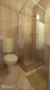 a bathroom with a toilet and a shower at U Hajduka in Murzasichle +57 photos