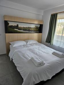 Postel nebo postele na pokoji v ubytování CASA Cristian
