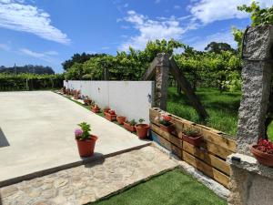 Ogród w obiekcie Casita con encanto entre viñedos