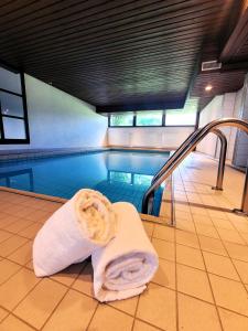 Swimmingpoolen hos eller tæt på Winterberg Appartement 21098