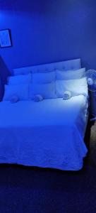 1 dormitorio azul con 1 cama en una habitación en Royal Guest House & and Lodge, en Pietermaritzburg 6 fotos más