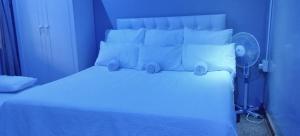 Un dormitorio azul con una cama con almohadas y un ventilador. en Royal Guest House & and Lodge, en Pietermaritzburg