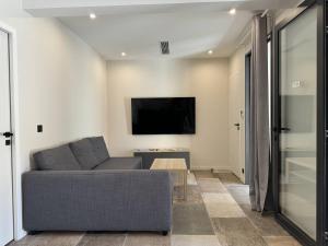 Μια τηλεόραση ή/και κέντρο ψυχαγωγίας στο L'Appartement Olivier