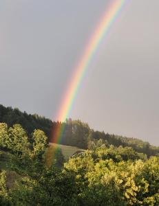 Táj a vendégház közelében