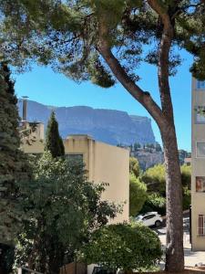 a view of a mountain in the distance with a tree at CASSIS RDC Climatisé - Parking gratuit in Cassis