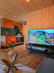 TV a/nebo společenská místnost v ubytování Tiny Lodge met prive Jacuzzi