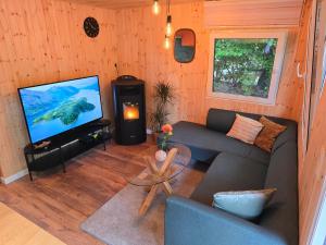 TV a/nebo společenská místnost v ubytování Tiny Lodge met prive Jacuzzi