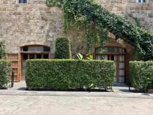 an entrance to a building with green hedges in front at Old Town Guesthouses in Batroûn