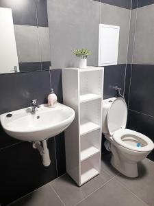 Koupelna v ubytování Apartmány Plzeň Zborovská 22 a
