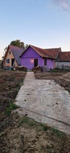 une maison violette avec une allée devant dans l'établissement Cabană la LERI, à Icloda