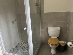 ein Bad mit einer Dusche, einem WC und einer Dusche in der Unterkunft Forest Drive Cottage in Kloof + 10 Fotos