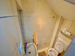 a small bathroom with a toilet and a sink at Apartman LITTLEHOME Travnik in Travnik