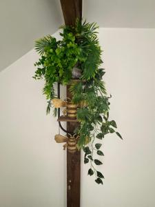 Gallery image of the olive tree bistro in Fakenham