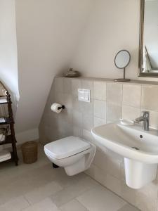 een badkamer met toilet en wastafel bij Haffkoje - Ferienhaus mit Kamin und Sauna für 6 Personen in Pepelow +8 foto's