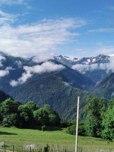 Paesaggio naturale nelle vicinanze dell'appartamento