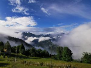 Paesaggio naturale nelle vicinanze dell'appartamento