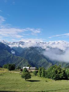 Paesaggio naturale nelle vicinanze dell'appartamento