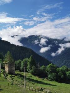 un campo verde con alberi e nuvole nel cielo di Heshkili Cottages a Mestia
