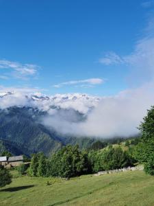 Paesaggio naturale nelle vicinanze dell'appartamento