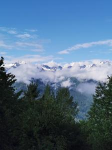 Paesaggio naturale nelle vicinanze dell'appartamento