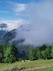 Paesaggio naturale nelle vicinanze dell'appartamento