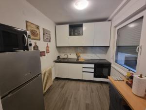 Kuchyň nebo kuchyňský kout v ubytování Apartman Centar