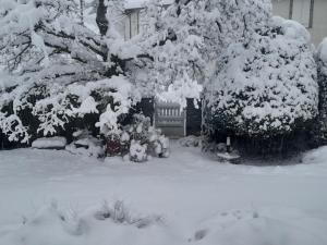 a yard covered in snow with trees and a bench at Maison chaleureuse in Lacaune