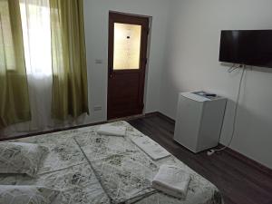 a bedroom with a bed and a television and a door at Casa Rodica in Dubova