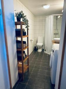 a bathroom with a toilet and a sink at Leilighet med særpreg in Lillehammer +5 photos