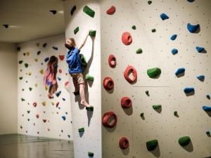 入住Falkensteiner Family Hotel Montafon - The Leading Hotels of the World的客人