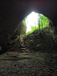Zdjęcie z galerii obiektu Sulla dieci w mieście Volpago del Montello