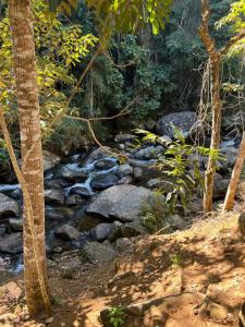 Gallery image of Recanto do Caparaó in São José de Pedra Menina