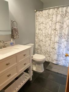 a bathroom with a toilet and a shower curtain at LINCOLN WHITE MOUNTAIN RETREAT - Loon Mnt, King bed, Monthly Rental in Lincoln