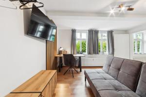 TV a/nebo společenská místnost v ubytování Apartment am Albertsplatz im Zentrum