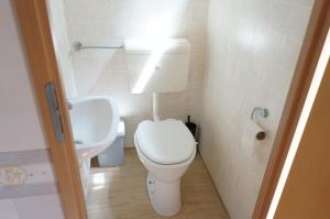 a bathroom with a white toilet and a sink at Kustverhuur, Groede Paarlhof 19 in Groede +12 photos