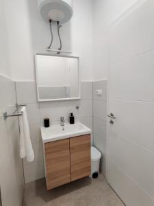 Vannituba majutusasutuses Studio apartman Azra