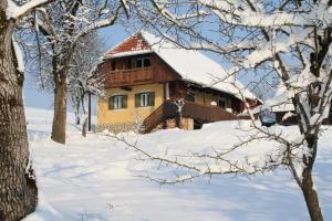 Country House Novosel v zimě