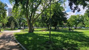 Vonkajšia záhrada v ubytovaní Citycentre - Sebastian