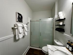 a bathroom with a shower and a toilet and towels at Newly Renovated Cottage including Driveway in Downtown Murfreesboro in Murfreesboro +28 photos